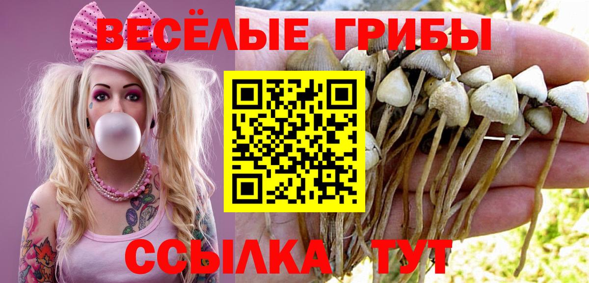 Псилоцибиновые грибы мухоморы  Вход с VPN  Мелеуз 